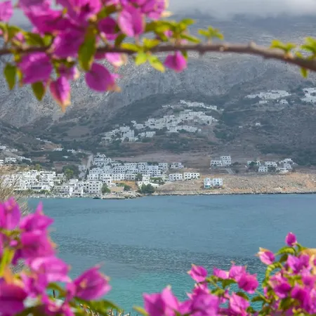 Petradi & Apartment Aegiali