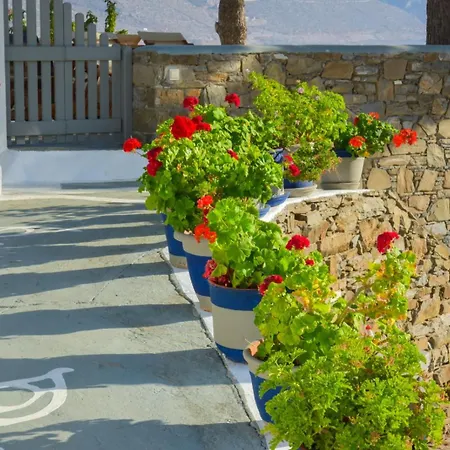 Appartamento Petradi Studios&villa Aegiali